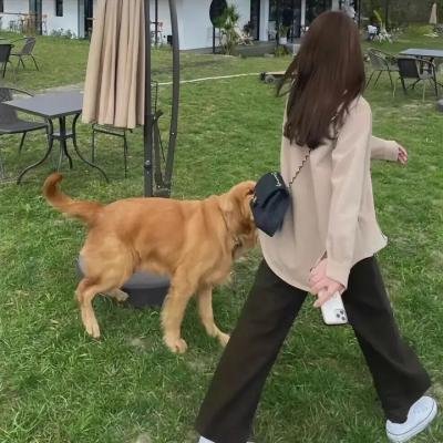阿娘